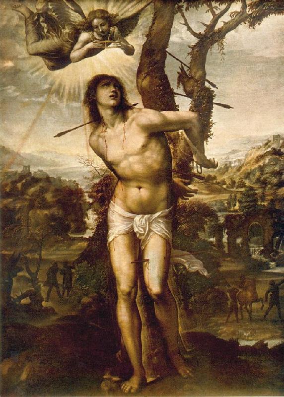 SODOMA, Il St. Sebastian aet oil painting picture
